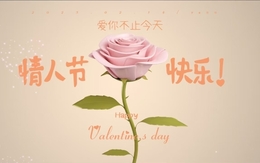 致全體伙伴：情牽愛伴，共赴新程